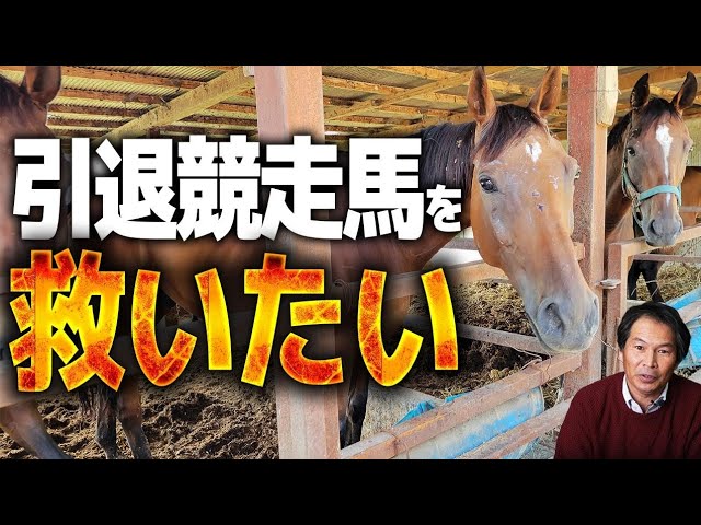 引退競走馬を救いたい
